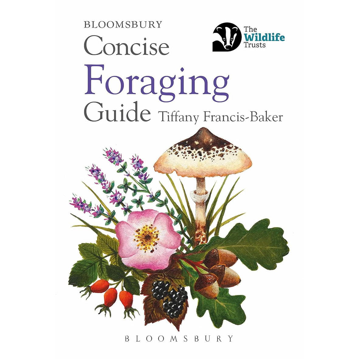 Concise Foraging Guide