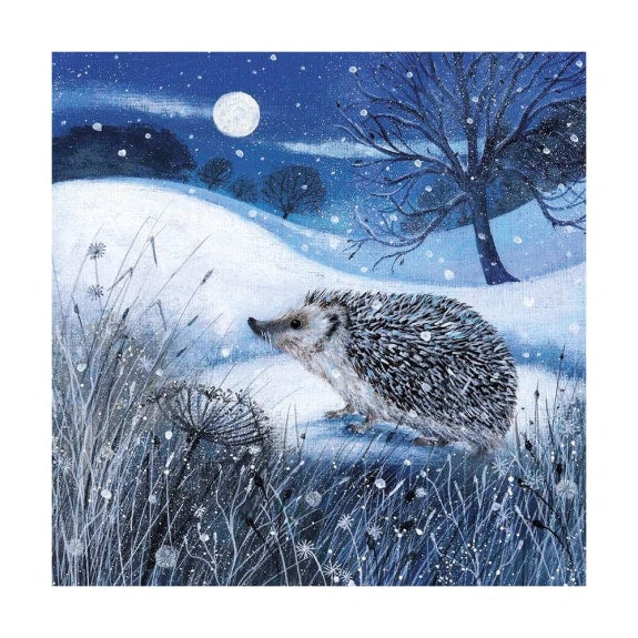 Dusk and Dawn Boxed Cards - Pack of 20