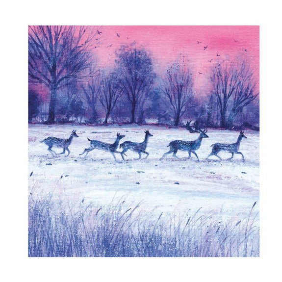 Dusk and Dawn Boxed Cards - Pack of 20