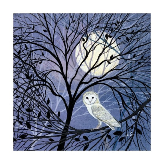 Dusk and Dawn Boxed Cards - Pack of 20