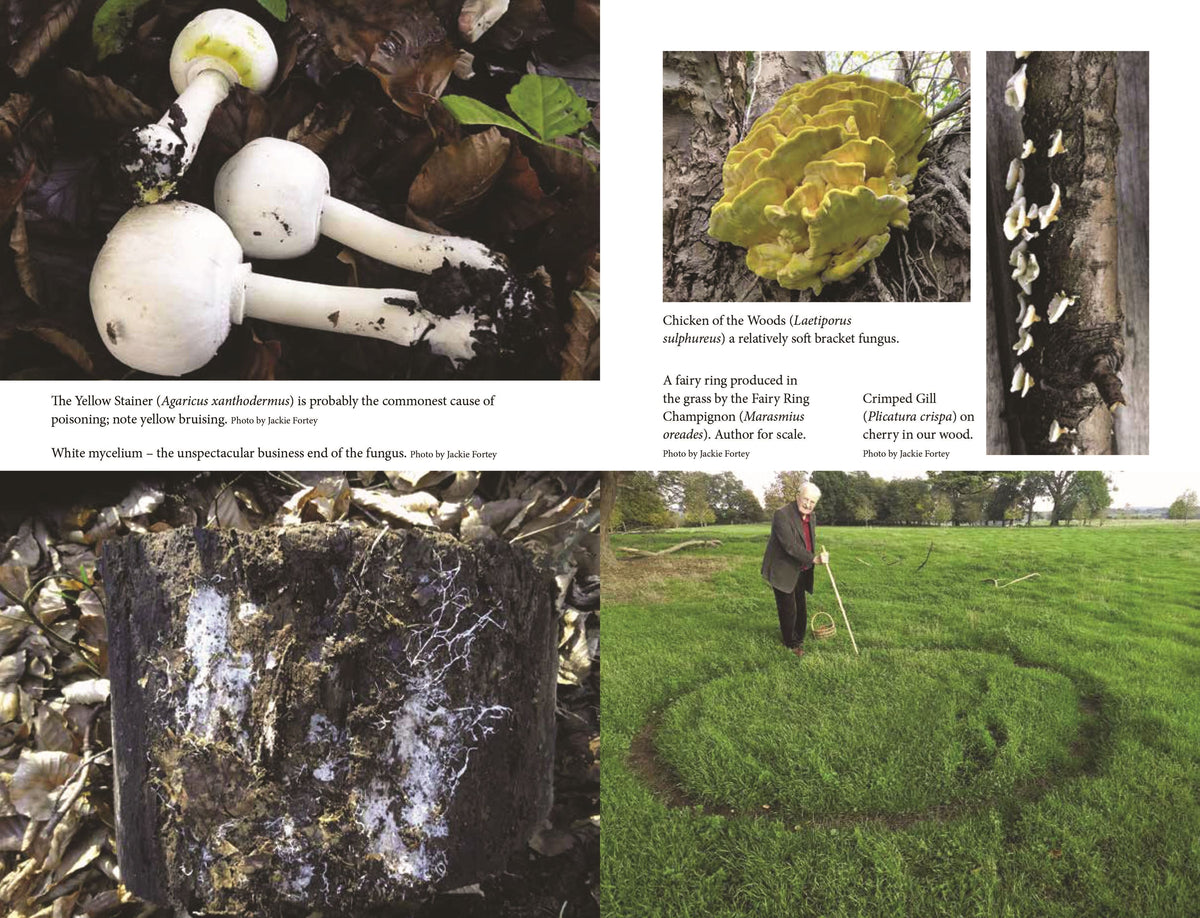 Close Encounters of the Fungal Kind
