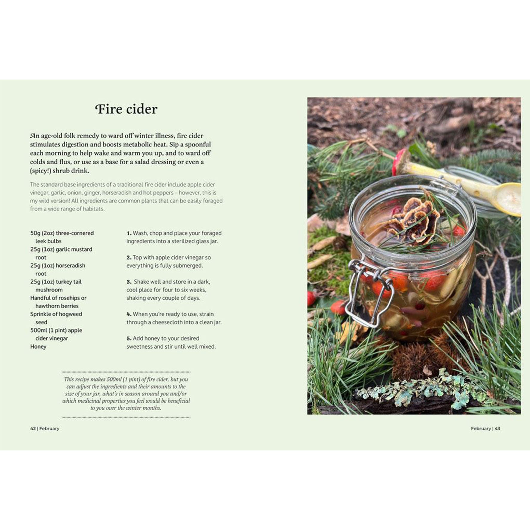 Forager's Almanac
