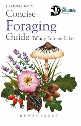 Concise Foraging Guide