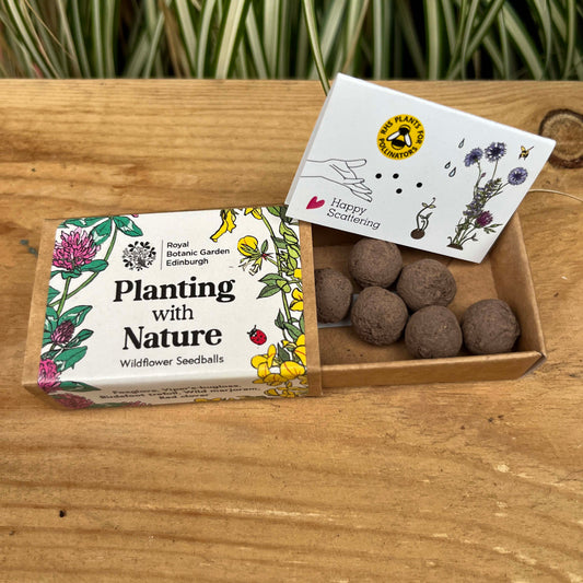 Planting with Nature Wildflower Seedballs