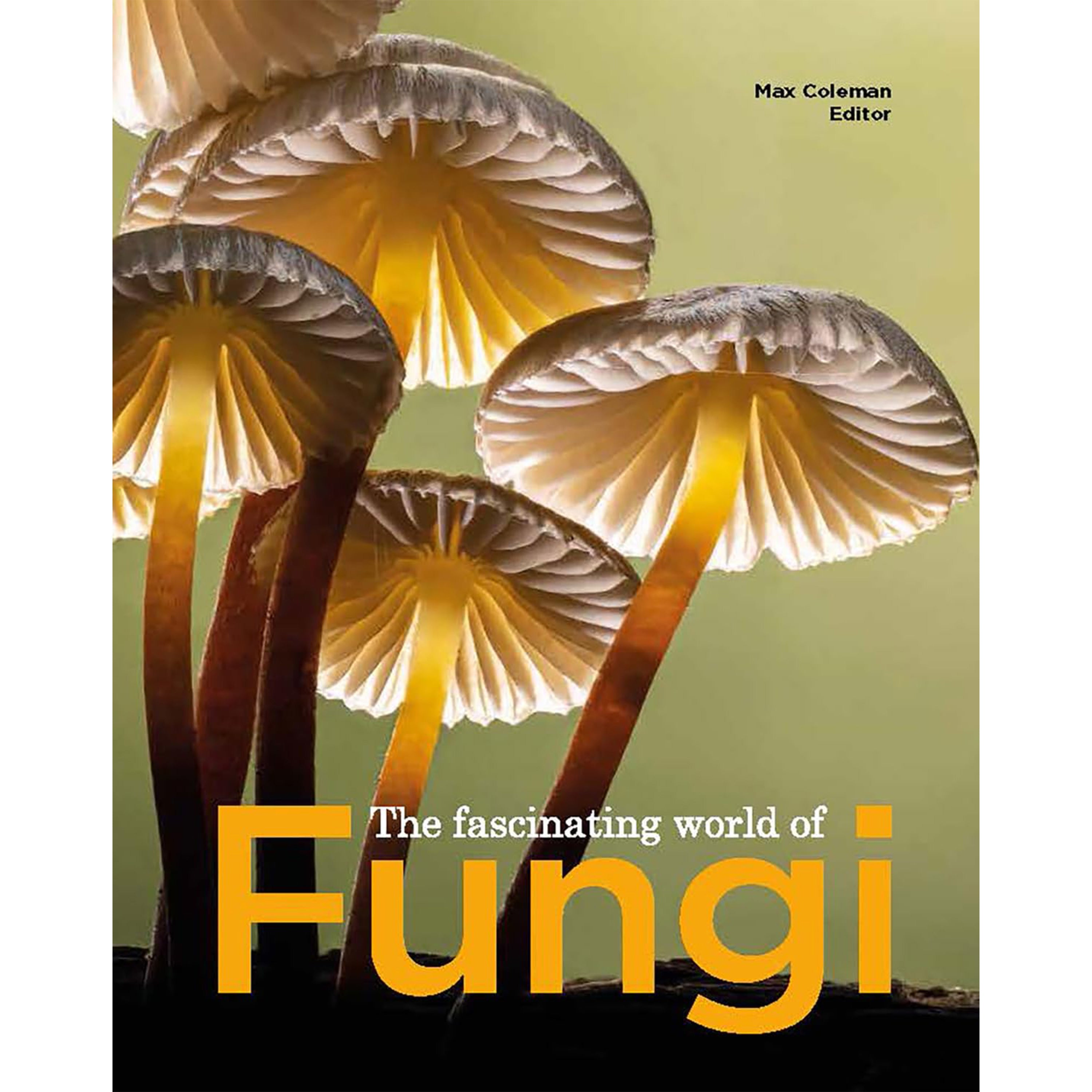 The Fascinating World of Fungi – The Botanics Shop at Royal