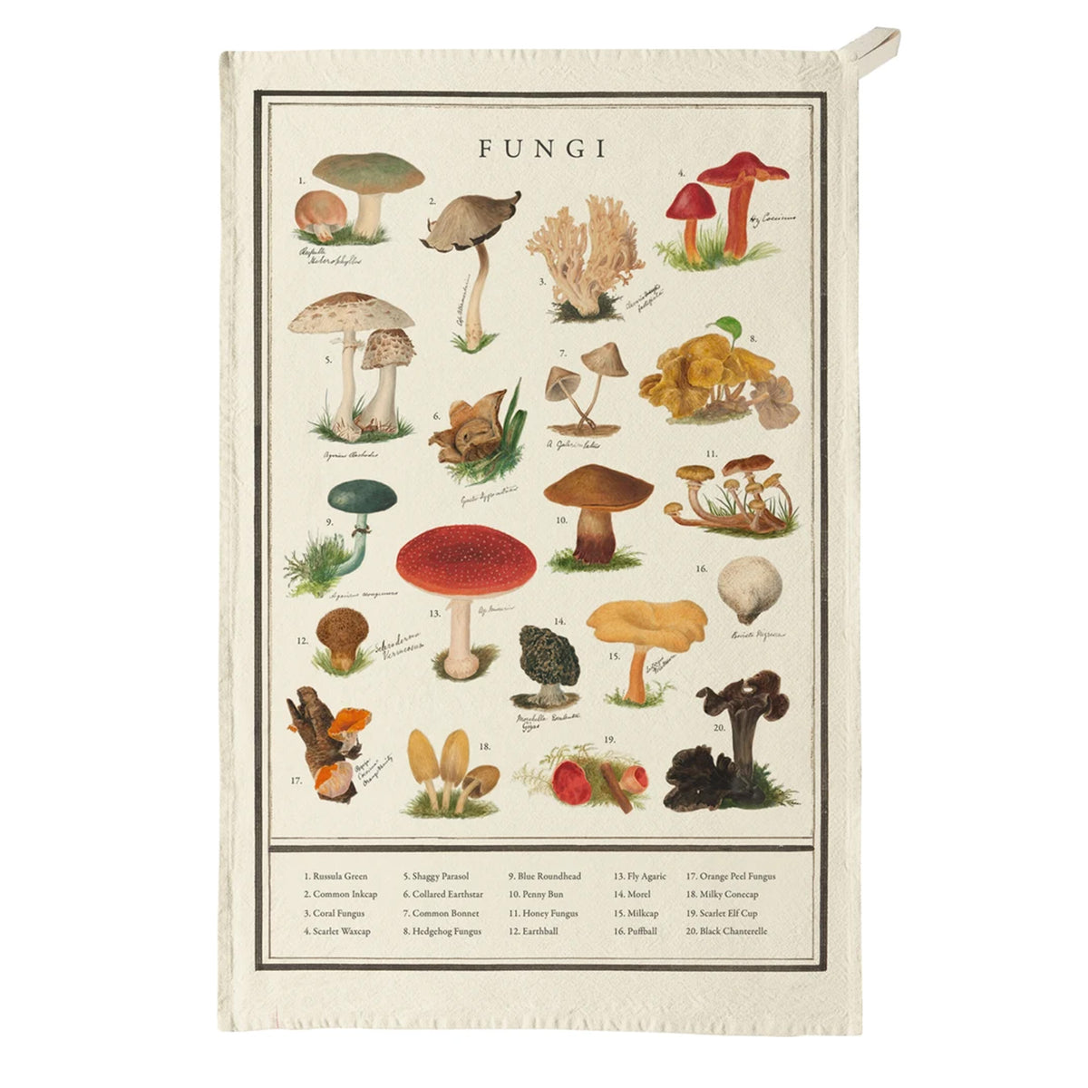 Fungi Cotton Tea Towel