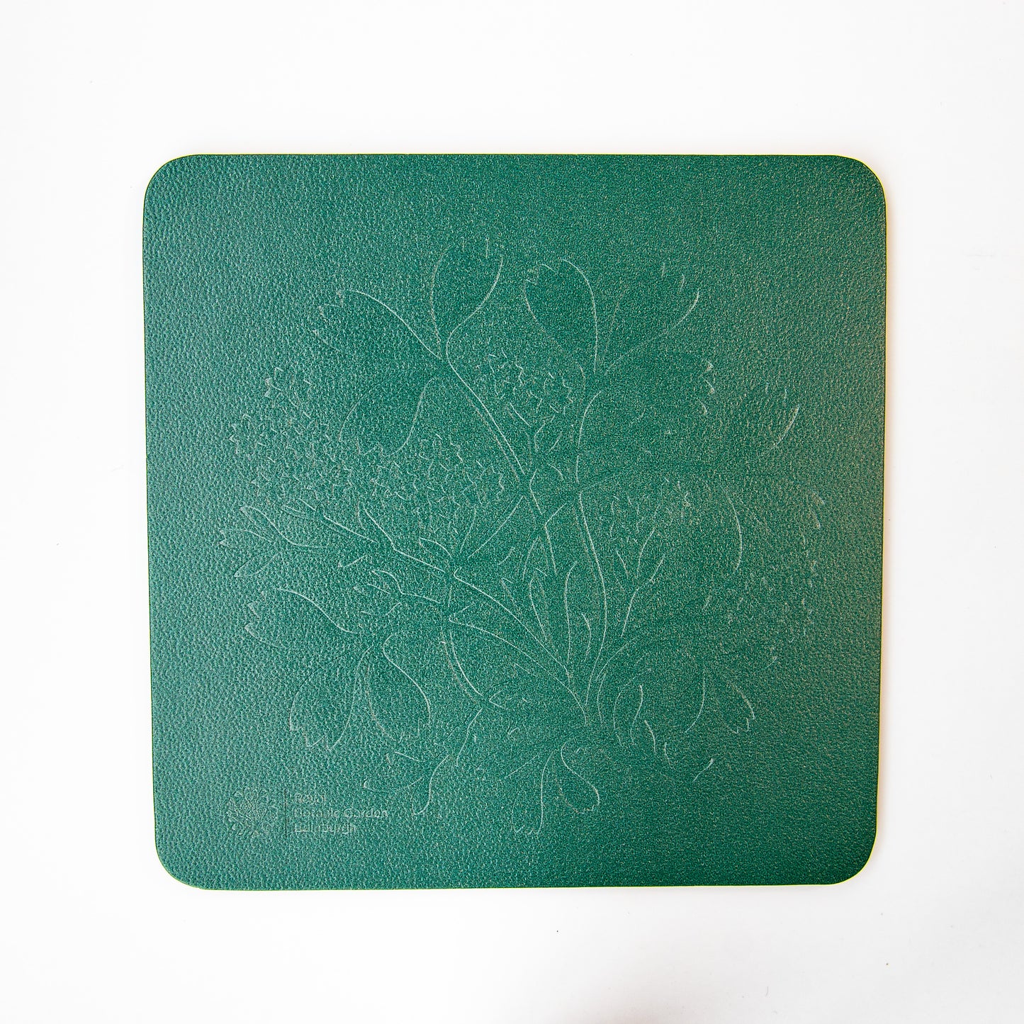 Sibbaldia Coaster