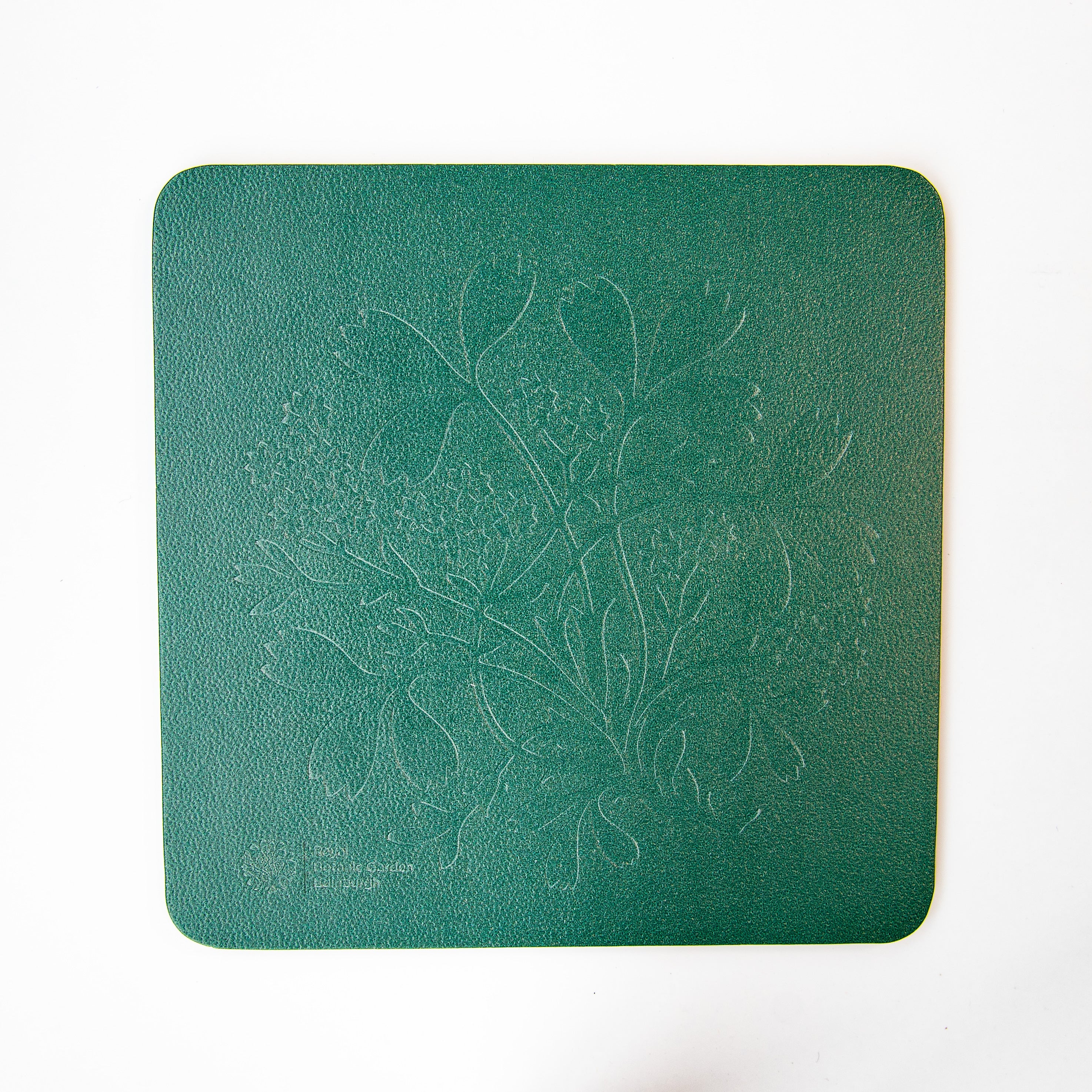 Sibbaldia Coaster