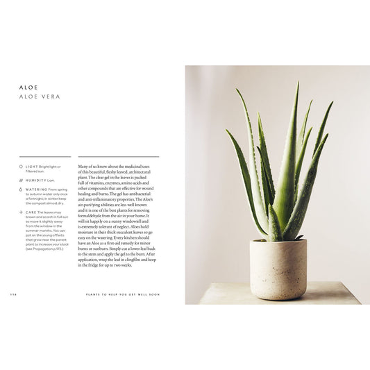 The Healing Power of Plants