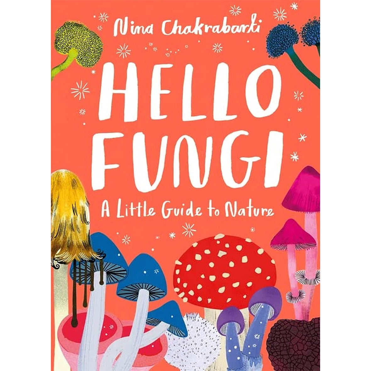 Hello Fungi: A little guide to nature