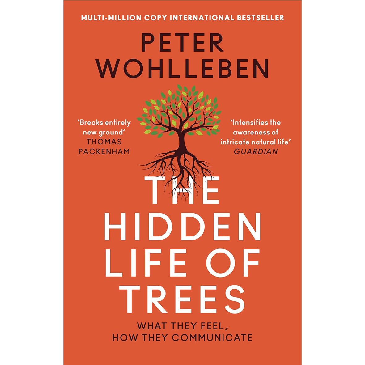 The Hidden Life of Trees