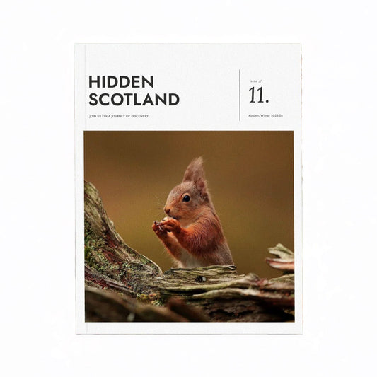 Book cover of 'Hidden Scotland' with a red squirrel on a branch.