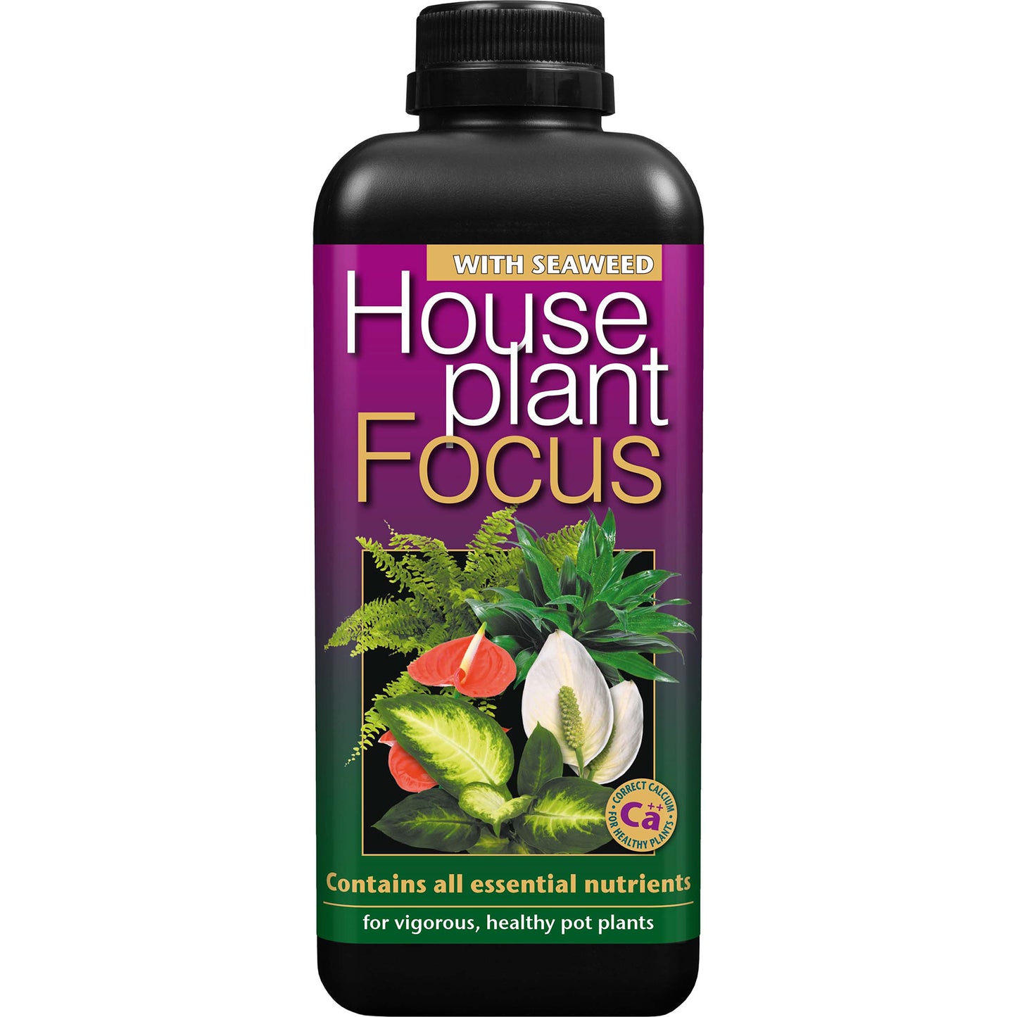 Houseplant Focus 1L