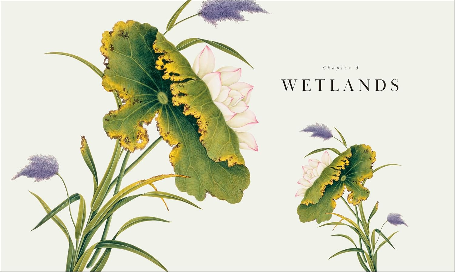 Atlas of Botany: An Exploration of Plants Across Time and Around the World