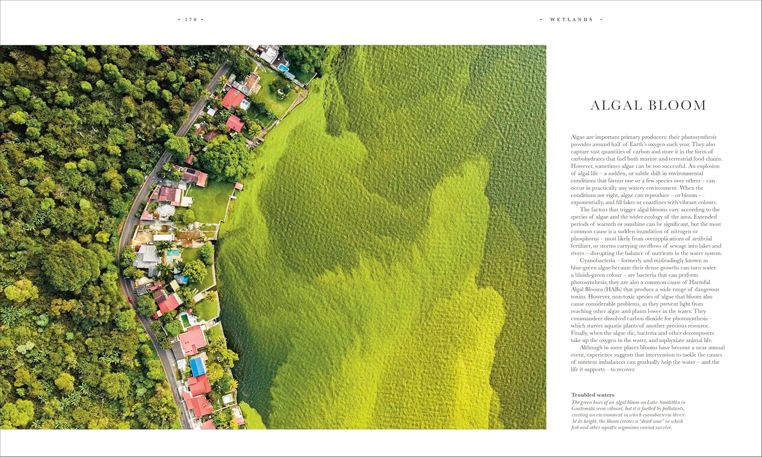Atlas of Botany: An Exploration of Plants Across Time and Around the World