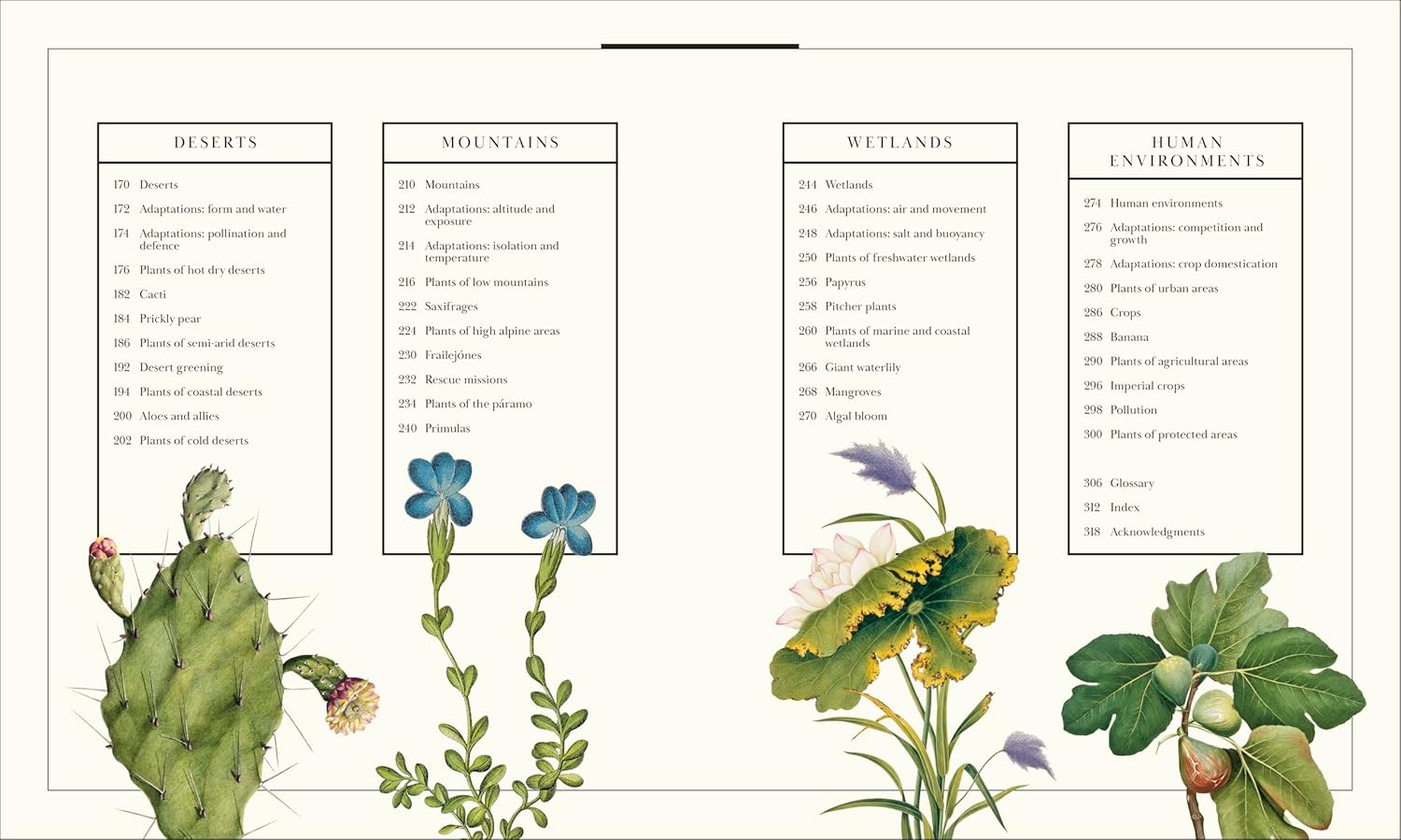 Atlas of Botany: An Exploration of Plants Across Time and Around the World
