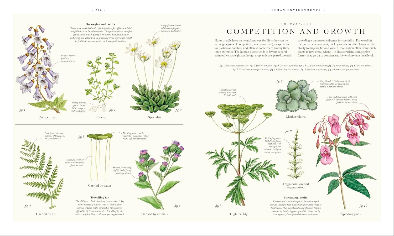 Atlas of Botany: An Exploration of Plants Across Time and Around the World
