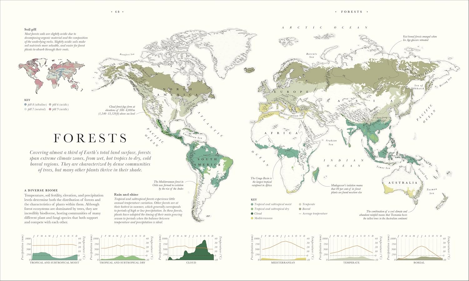Atlas of Botany: An Exploration of Plants Across Time and Around the World