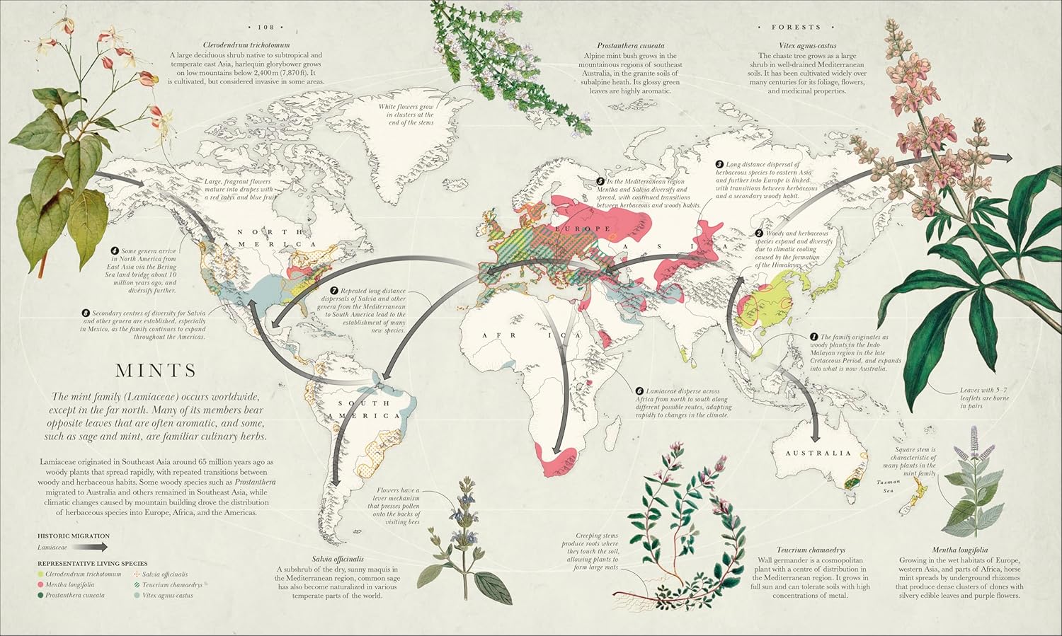 Atlas of Botany: An Exploration of Plants Across Time and Around the World