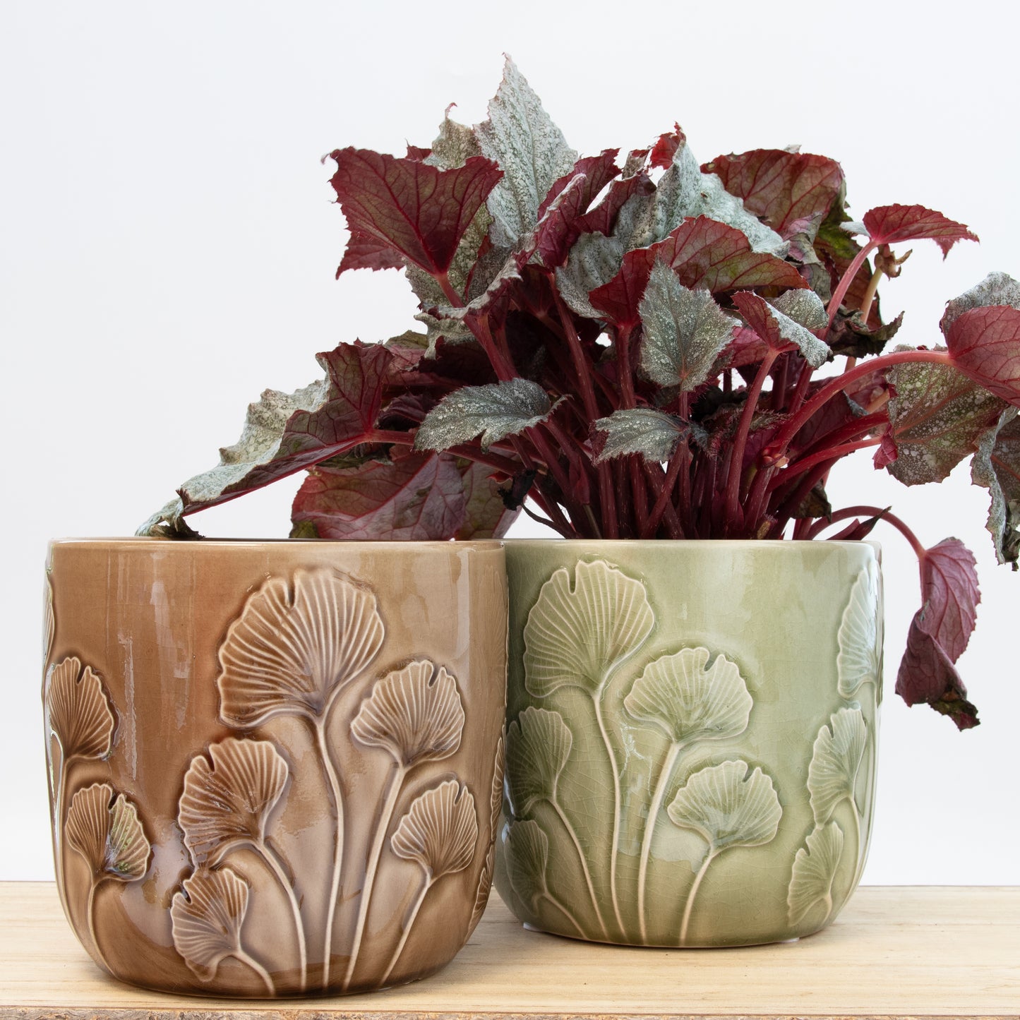 Embossed Mushroom Plant Pot - Brown