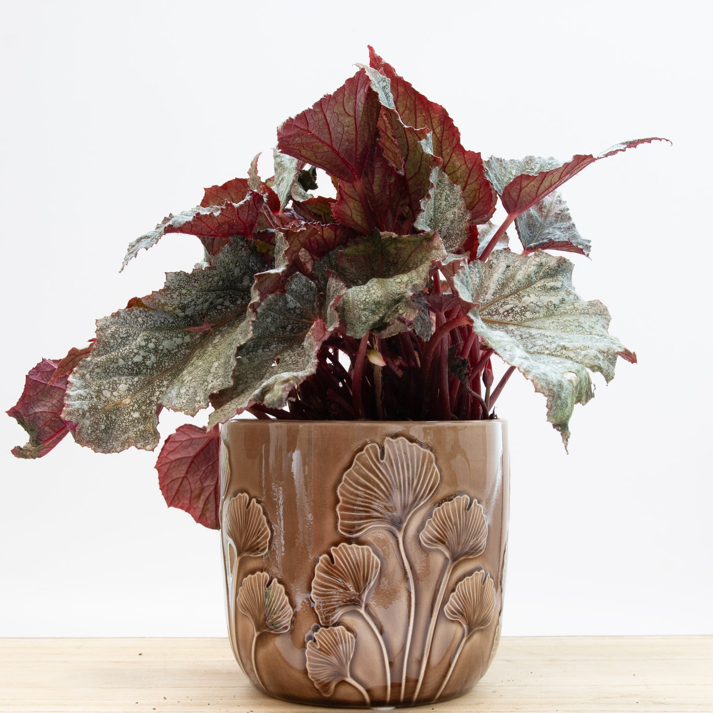 Embossed Mushroom Plant Pot - Brown