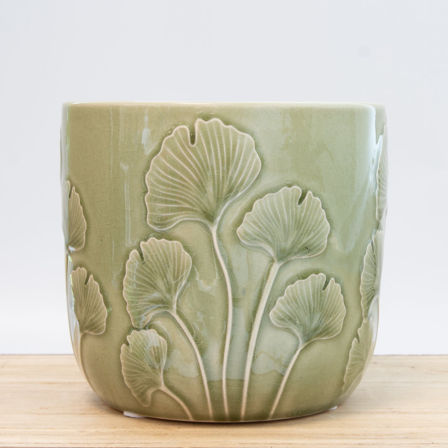 Embossed Mushroom Plant Pot - Green