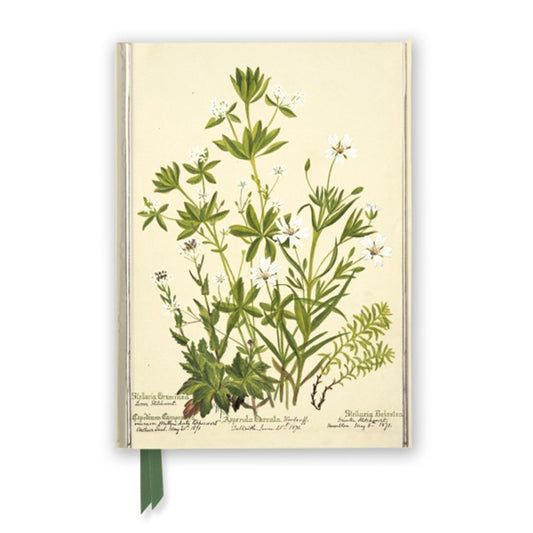 Charlotte Cowan Pearson ‘Stitchwort’ Journal