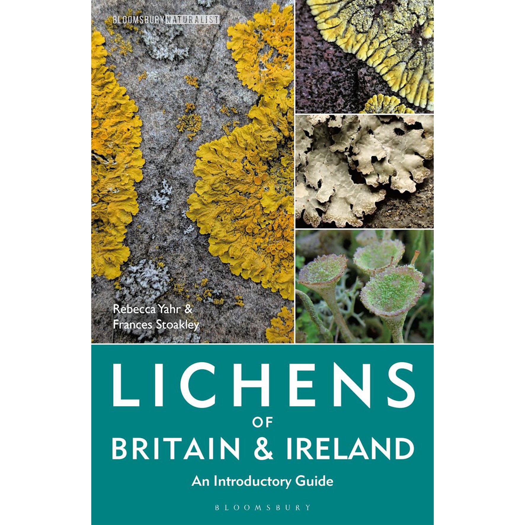 Book cover of 'Lichens of Britain &amp; Ireland' with lichen images and Bloomsbury Nature logo.