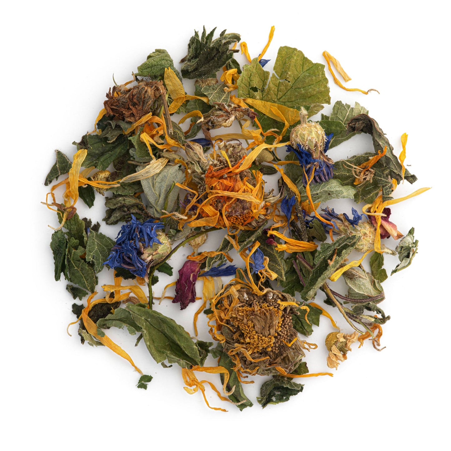 Assorted dried herbs and flowers on a white background