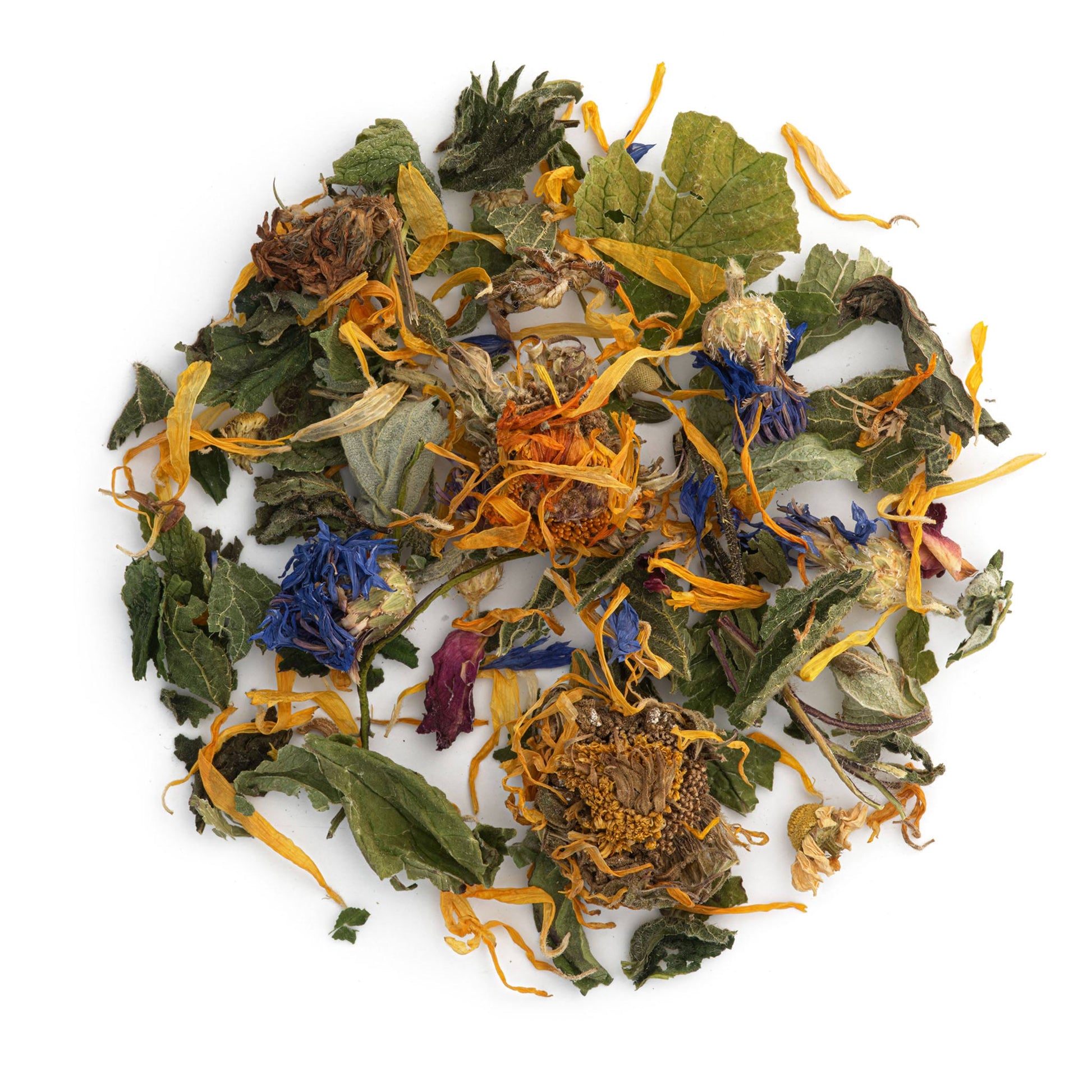 Assorted dried herbs and flowers on a white background