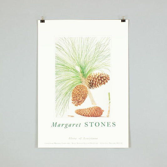 'Flora of Louisiana' by Margaret Stones