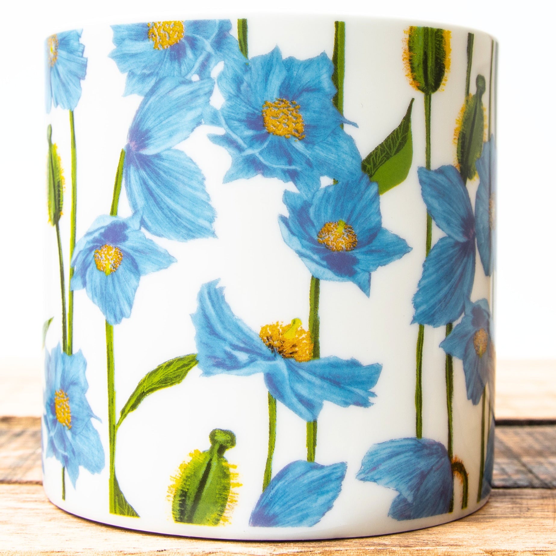 Meconopsis Mug