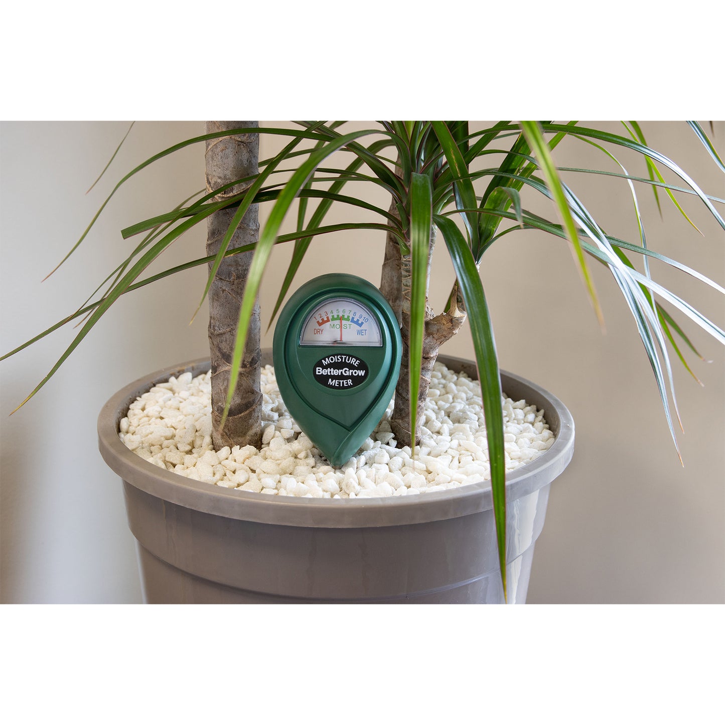 Bettergrow Moisture Meter