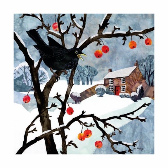 Frosty Feathers Boxed Cards - Pack of 20