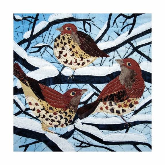 Frosty Feathers Boxed Cards - Pack of 20