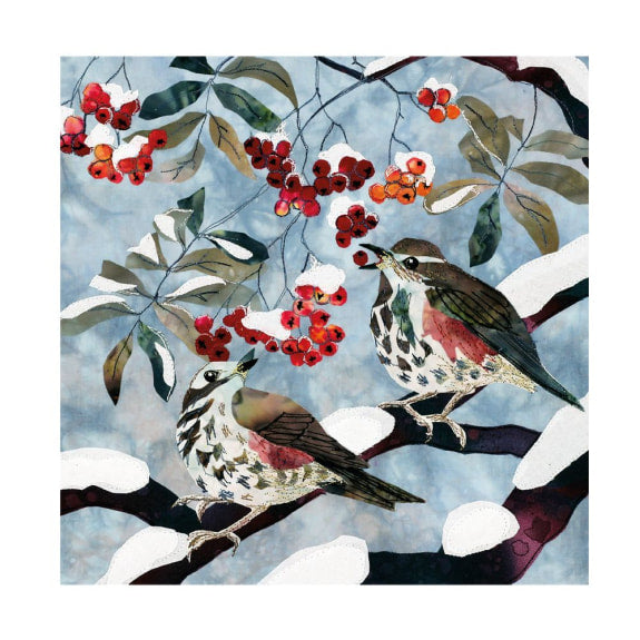 Frosty Feathers Boxed Cards - Pack of 20