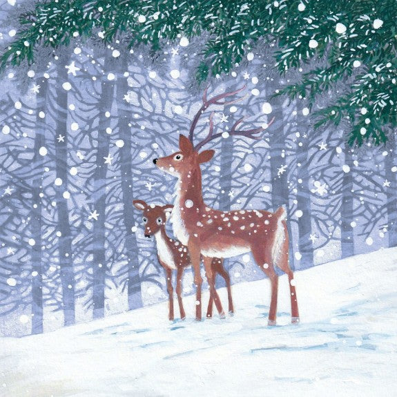 Morning Snow Boxed Cards - Pack of 20