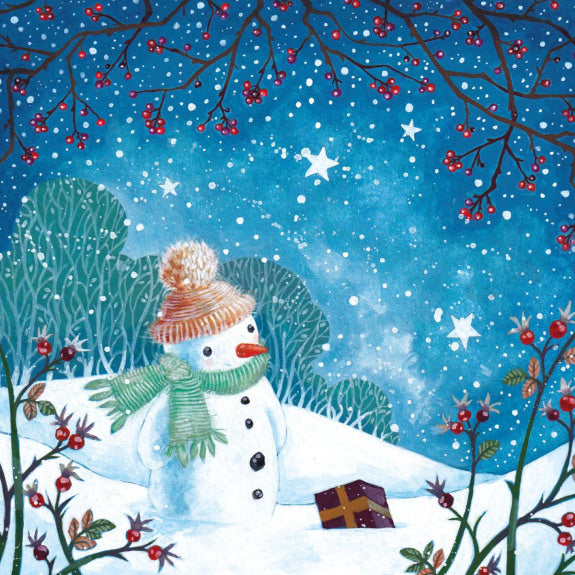 Morning Snow Boxed Cards - Pack of 20