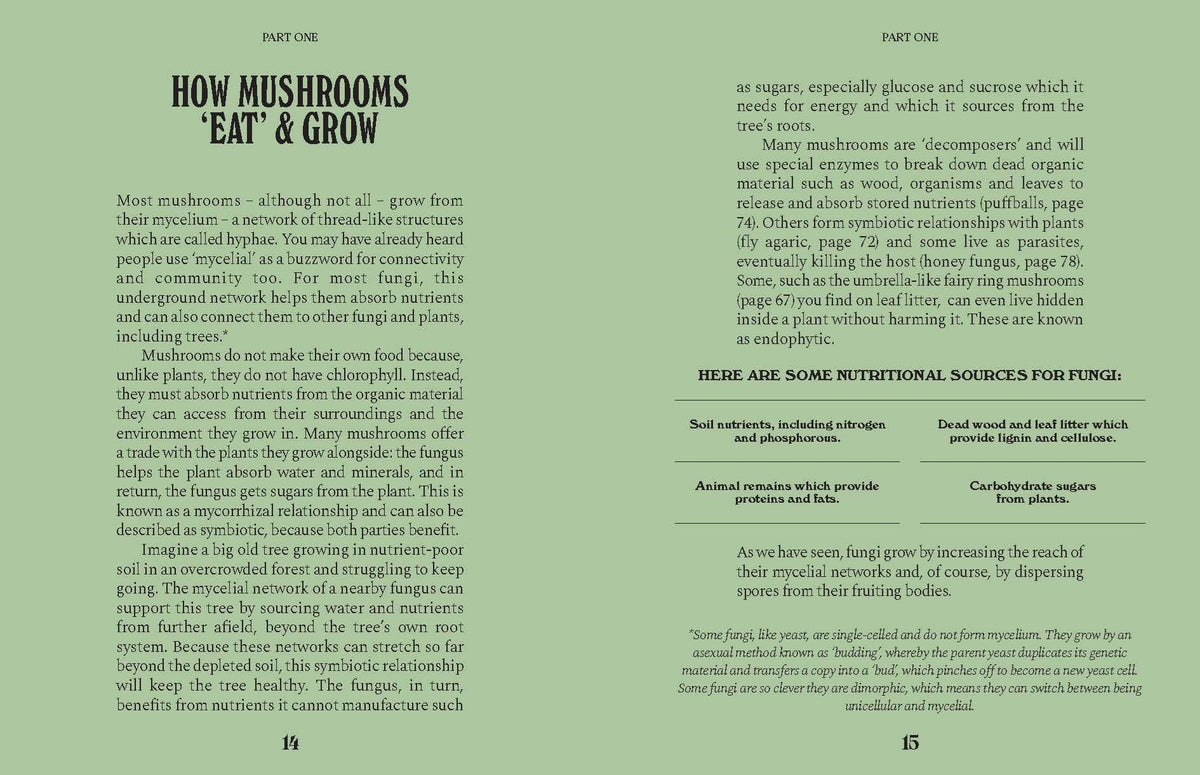Mushrooms: A Guide for the Curious