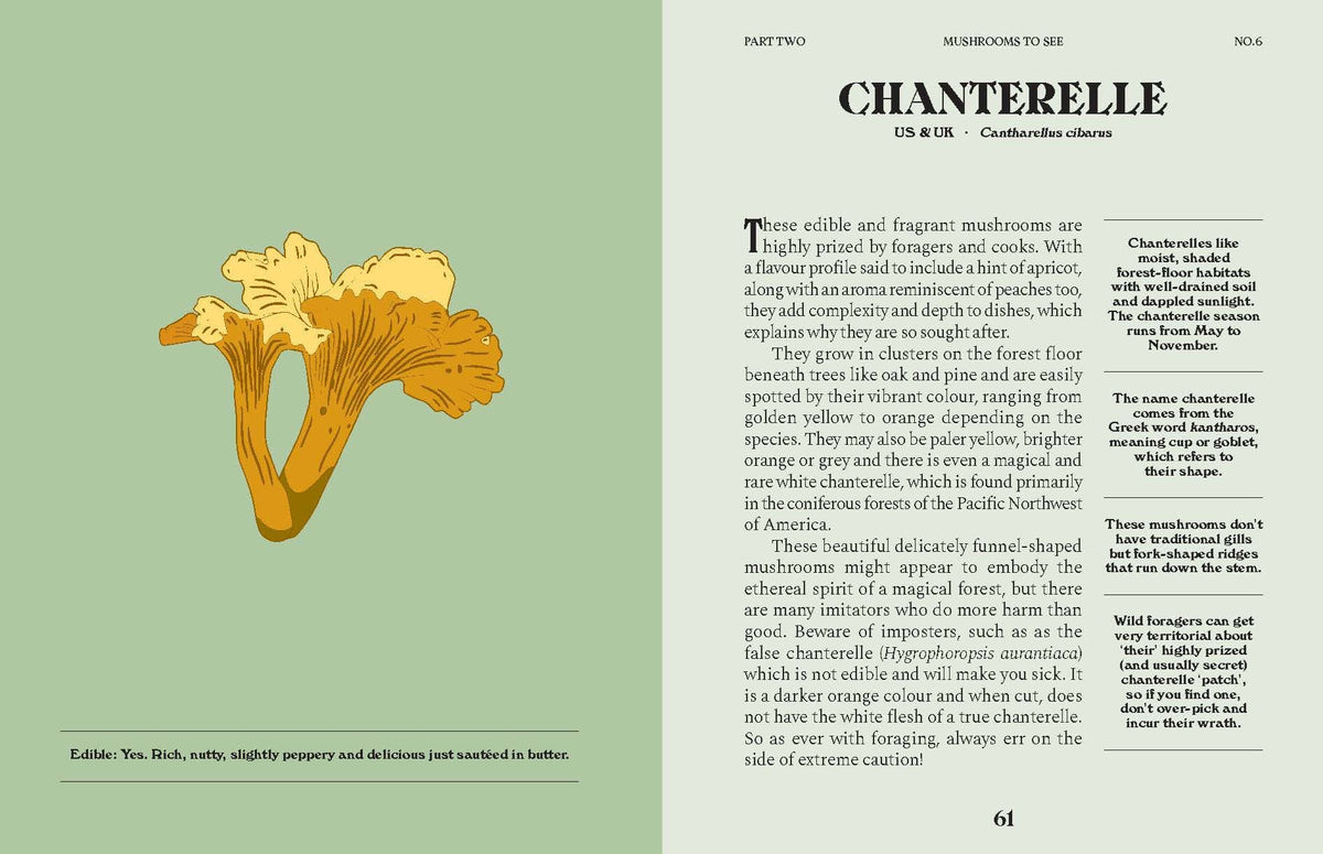 Mushrooms: A Guide for the Curious