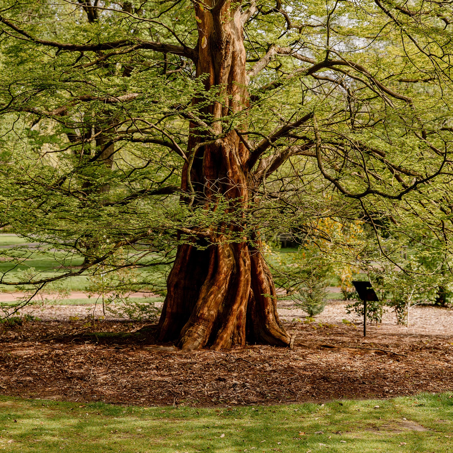 Nature Based Solutions Tour