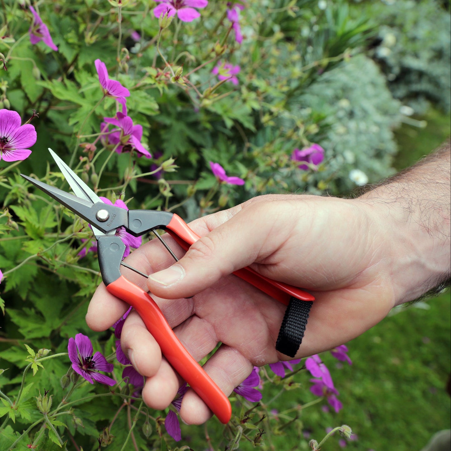 Niwaki - Forged Snips