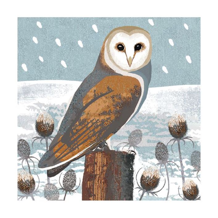 Owl & Teasels 8 Pack Christmas Cards