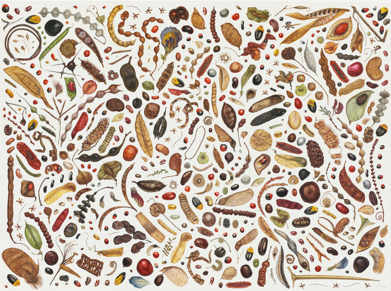 Autumn Textures