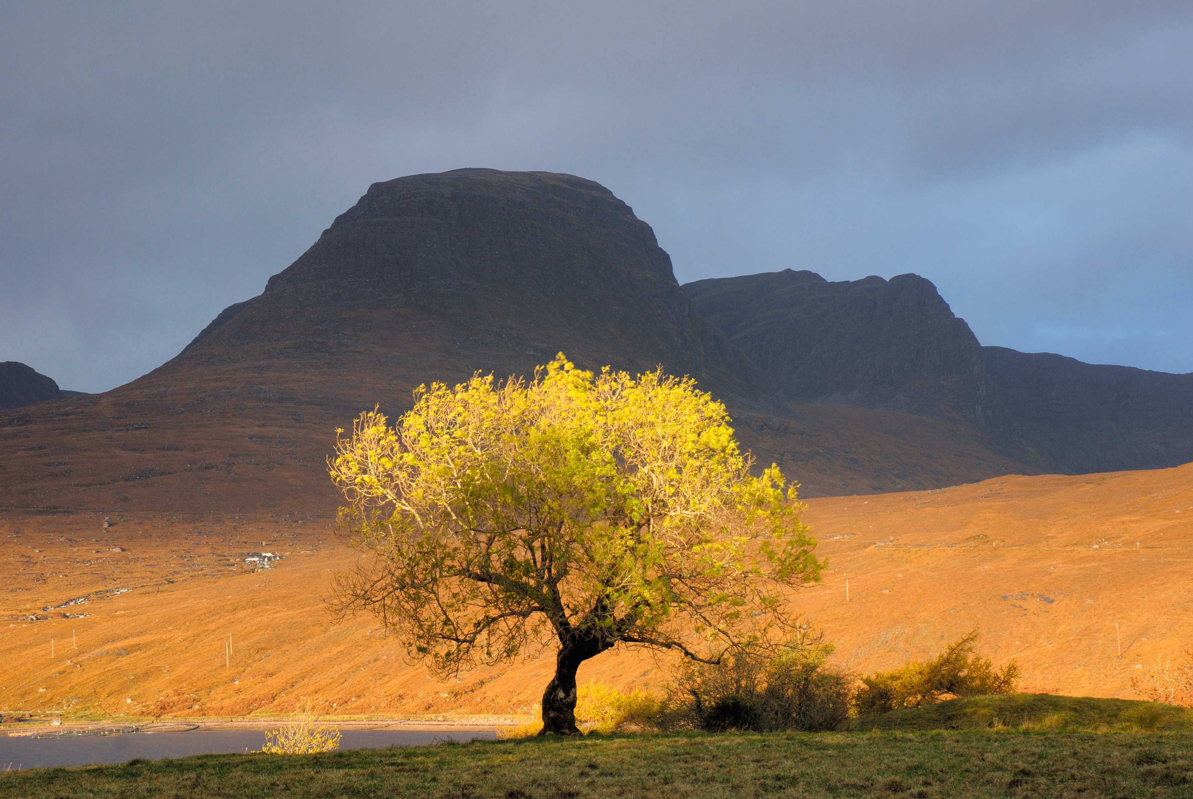 Photographing Trees in Autumn