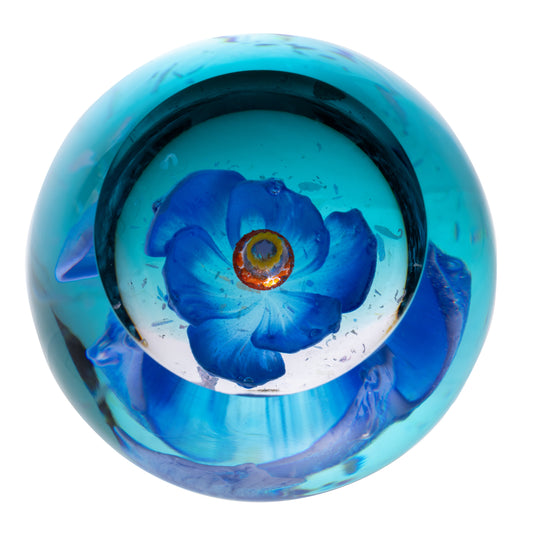 blue poppy paperweight