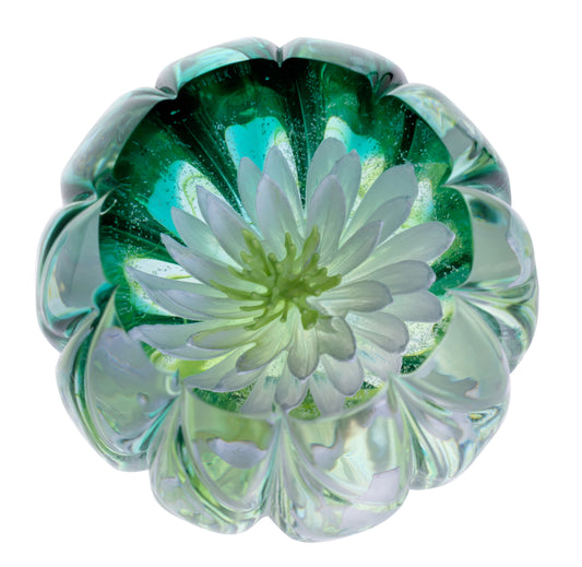 Pre Order - Water Lily Paperweight