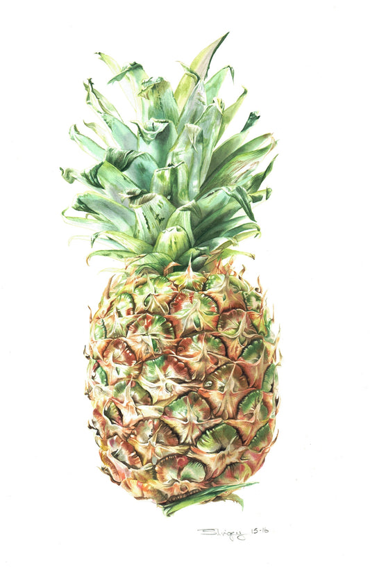 Botanical Art Skills and Techniques: Painting Pineapples