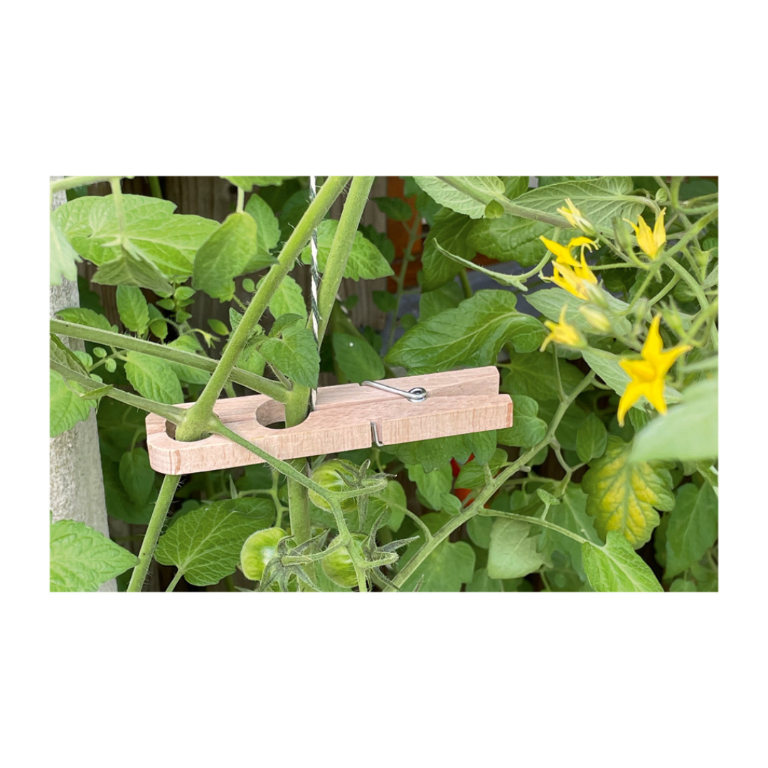 Plant Clamp