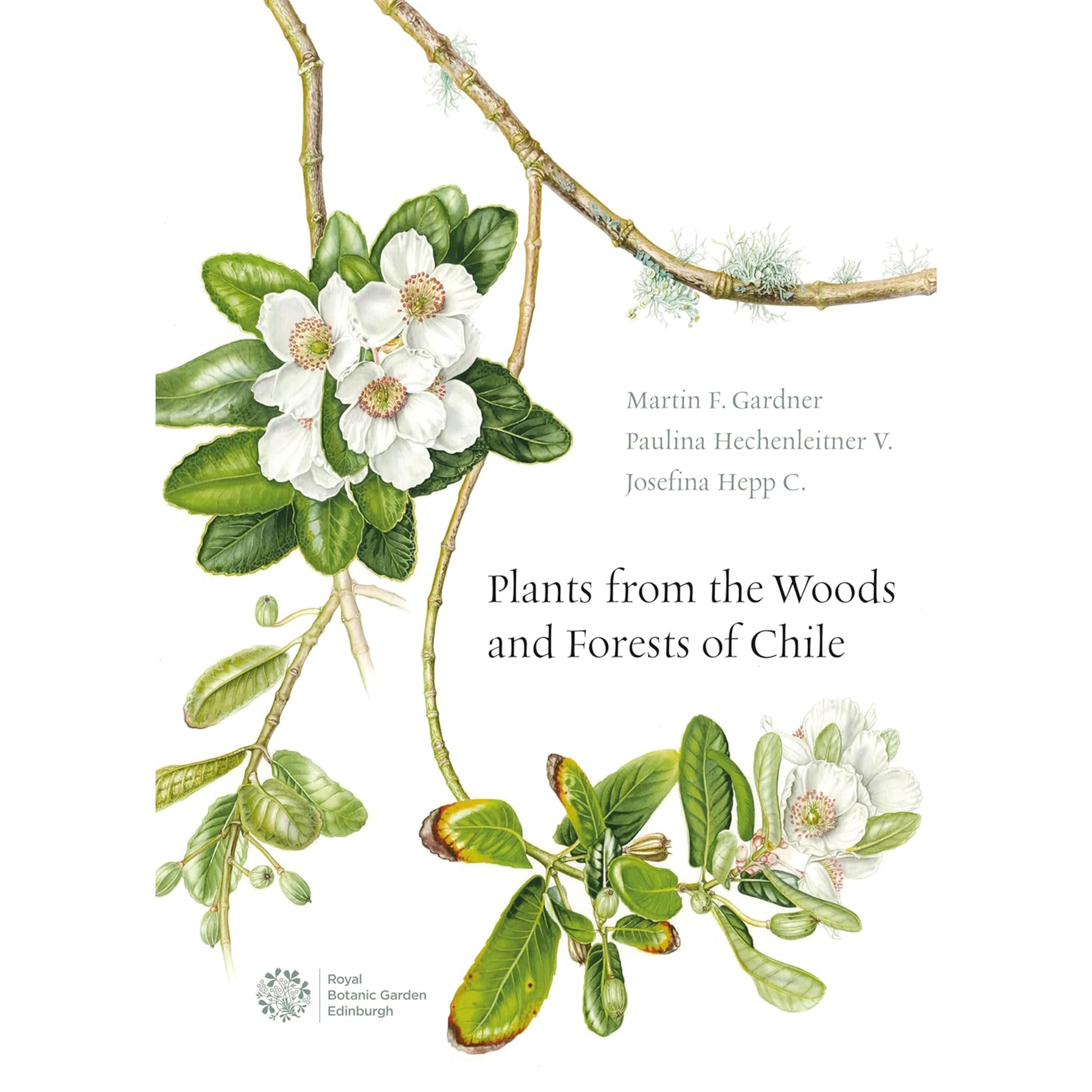 Plants from the Woods &amp; Forests of Chile